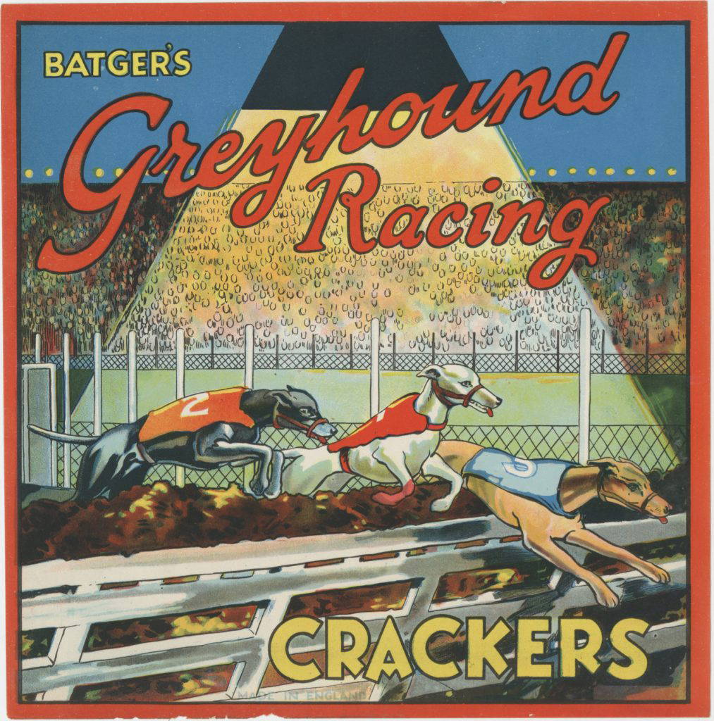 Greyhound Racing Cartoon